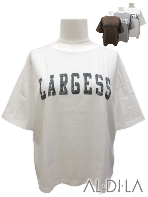 ＜AL・DI・LA /アル・ディ・ラ＞ユーズド風のかすれたカレッジロゴが大人カジュアルなTシャツです。(撮影サイズ：F)