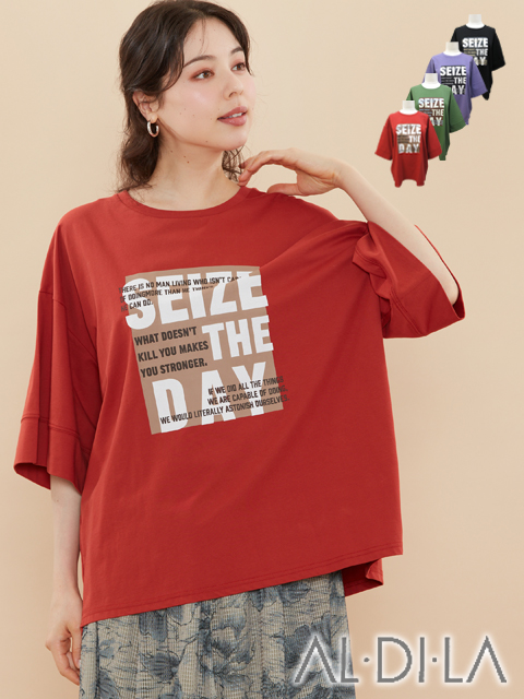 <AL・DI・LA /アル・ディ・ラ>袖幅広めの大人のこなれ感あるオーバーサイズTシャツです。(撮影サイズ:F)
