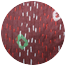 オレンジ