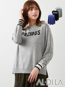 インターシャロゴニット